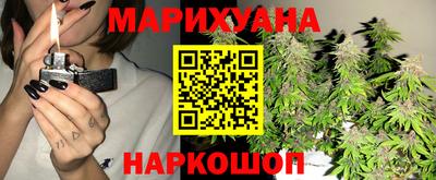 шишки Заводоуковск