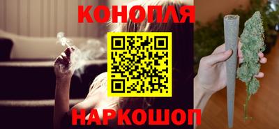 шишки Заводоуковск