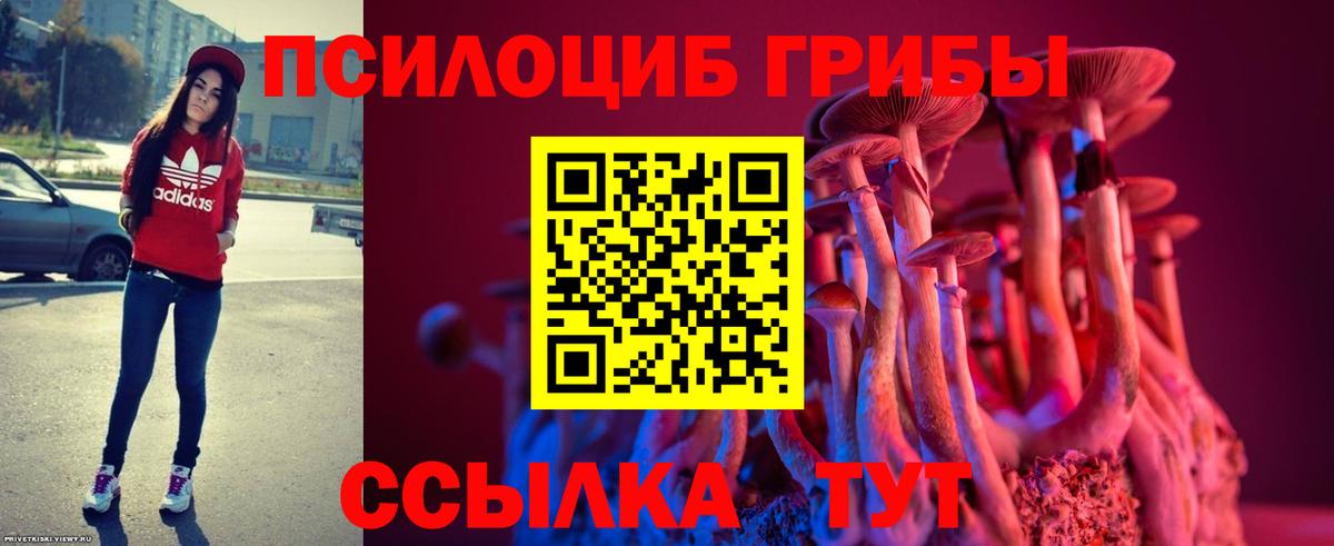 Галлюциногенные грибы MAGIC MUSHROOMS  Галлюциногенные грибы MAGIC MUSHROOMS  Вход с VPN  Шарыпово 