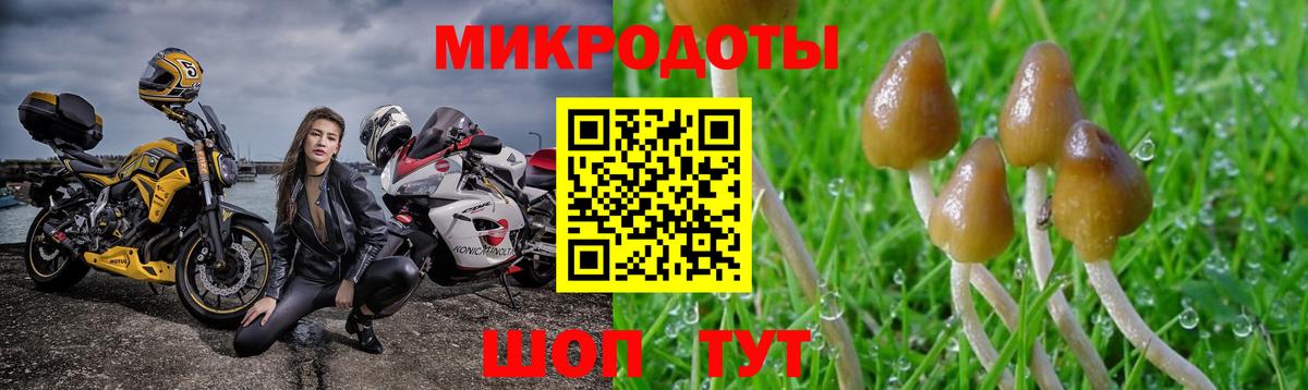 Галлюциногенные грибы GOLDEN TEACHER Шарыпово